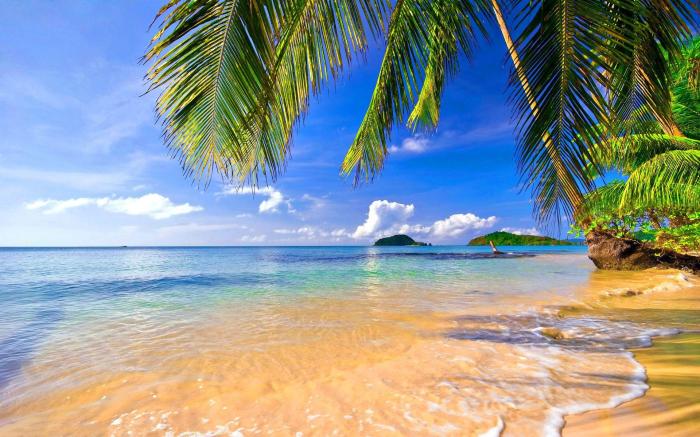 Beach tropical wallpaper wallpapers backgrounds full wallpaperaccess top Beach tropical wallpaper wallpapers backgrounds full wallpaperaccess top